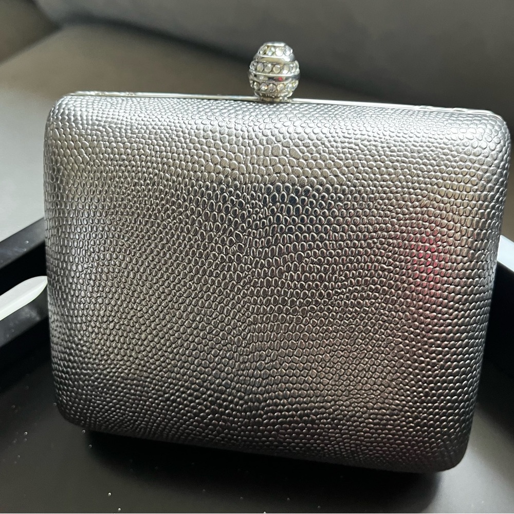 Orly Dinner/party clutch in Silver-gray with stone closure.